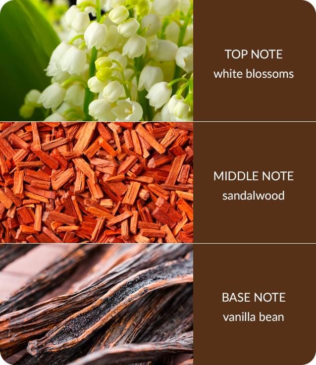 White Blossom & Sandalwood Fragrance Diffuser 140ml Up to 16 Weeks of Fragrance