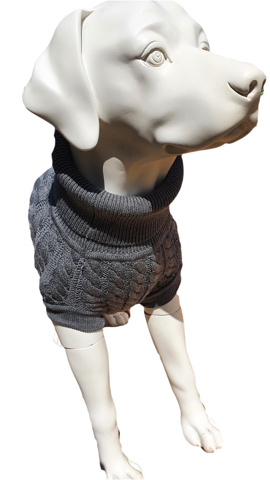 1ddd74c5-f218-4206-ae28-16baaf3bb968.png