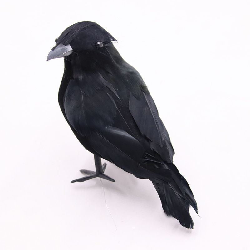 main.png