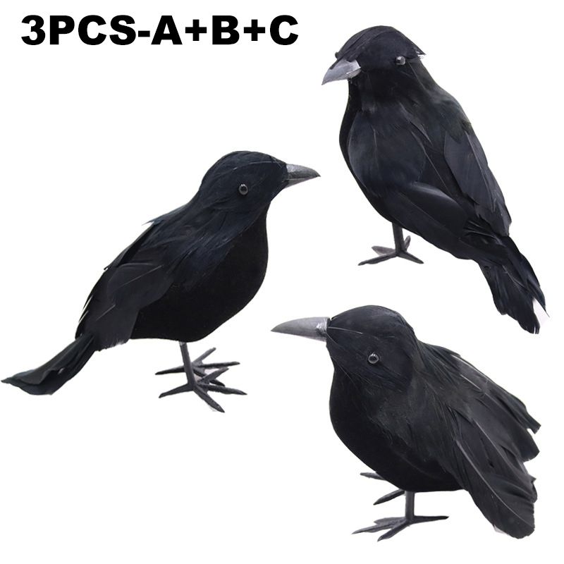 main.png